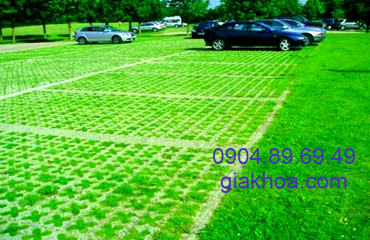 Gạch trồng cỏ bãi để xe